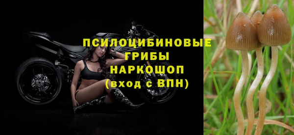 PSILOCYBIN Няндома