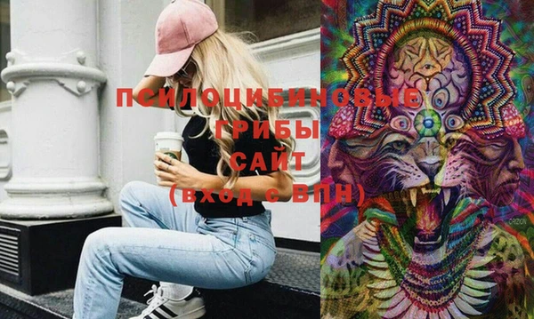 PSILOCYBIN Няндома