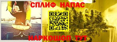 стафф Шебекино
