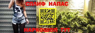стафф Шебекино