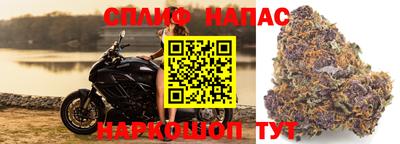 тгк Шелехов