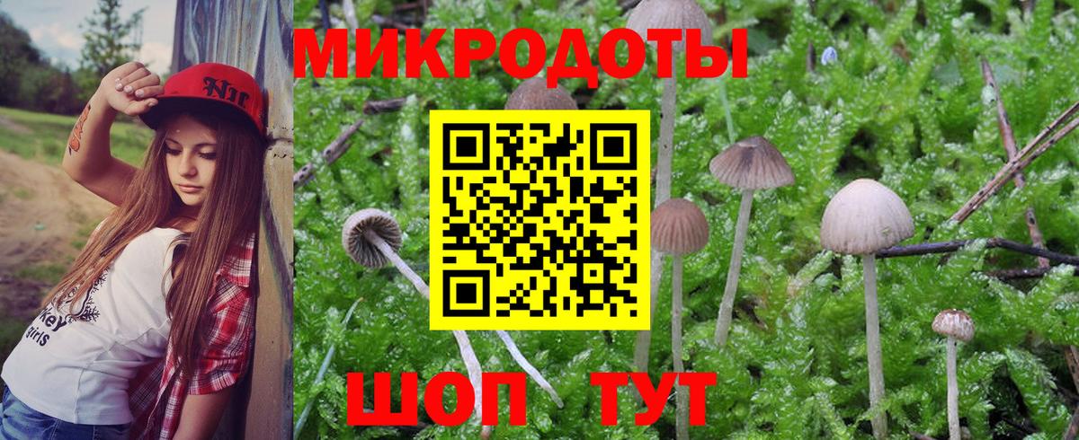 Галлюциногенные грибы Psilocybe  Вход с VPN  Усть-Кут 