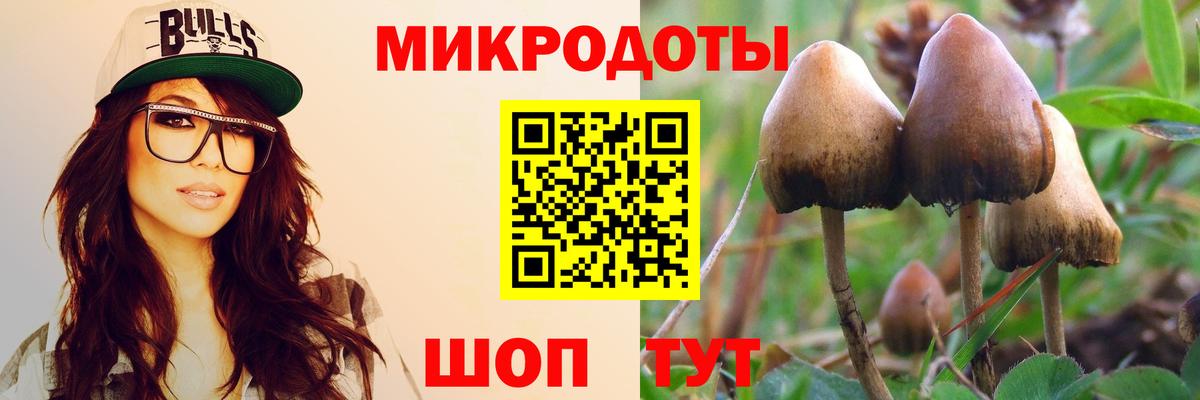 Галлюциногенные грибы Psilocybine cubensis Усть-Кут